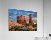 STANDING TALL Acrylic Print