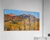AUTUMN SHOWCASE-1 Acrylic Print