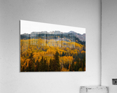 DINOSAUR BACK AUTUMN Acrylic Print