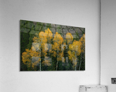 LIGHT IN THE DARKNESS  Acrylic Print