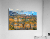 AUTUMN SHOWCASE-2 Acrylic Print