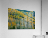 ASPEN ESCALATORS Acrylic Print