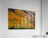 AUTUMN METAMORPHOSIS Acrylic Print