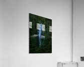 FOCUS ON PROXY FALLS Acrylic Print
