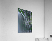 FLOWING GRACE Acrylic Print