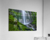 SEEING BEYOND THE VEIL Acrylic Print