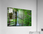 SILVER FALLS OREGON  2 Acrylic Print