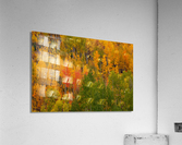 AUTUMN CONTRAST Acrylic Print