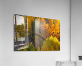 AUTUMN HIGHLIGHTS Acrylic Print