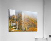 EMERGENCE Acrylic Print