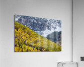Ascending Illumination Acrylic Print