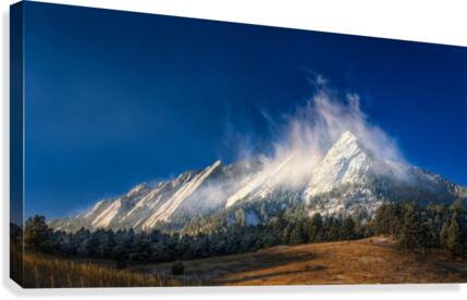 FROZEN WHIMSEY Canvas Print