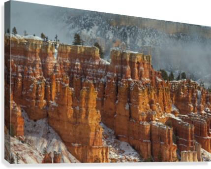 RISE AND SHINE Canvas Print