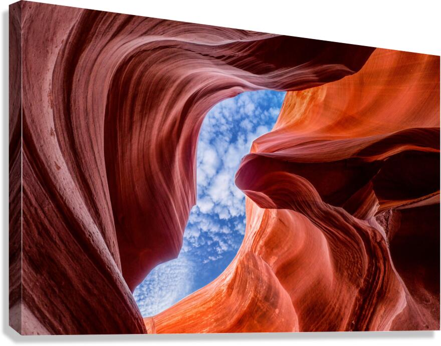 The Color Within Canvas Print