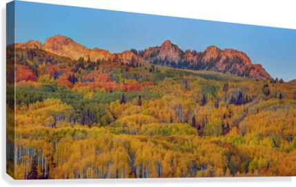AUTUMN SHOWCASE-1 Canvas Print