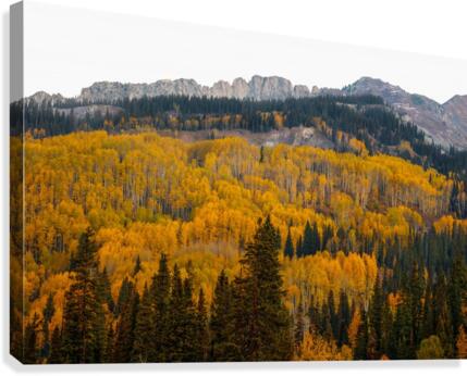 DINOSAUR BACK AUTUMN Canvas Print