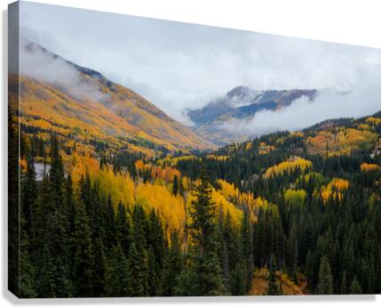 A SIGHT TO BEHOLD Canvas Print