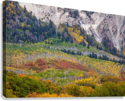 Up Against A Wall Canvas Print