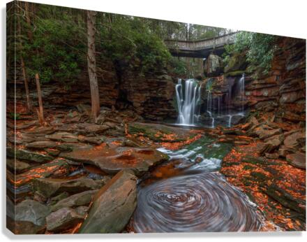 Elakala Falls 2 Canvas Print