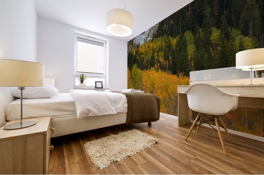 ASPEN  RISE Mural print