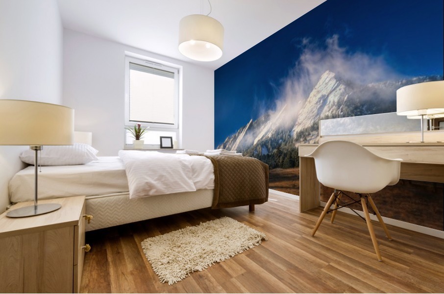 FROZEN WHIMSEY Mural print