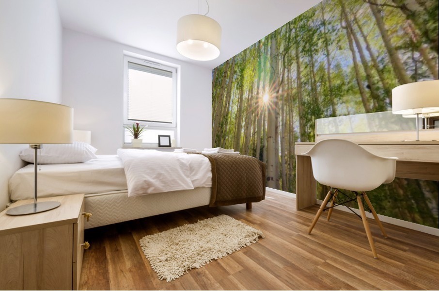 STARSHINE Mural print