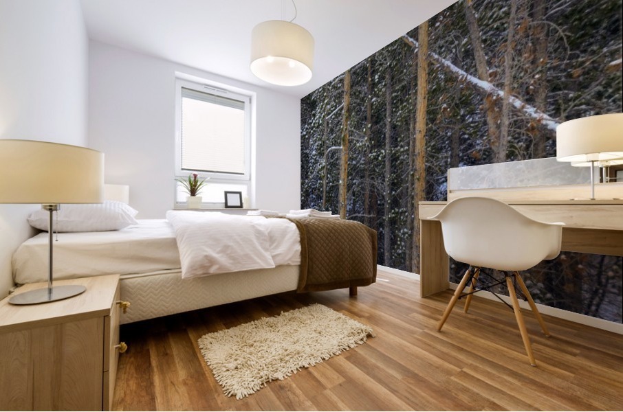 SNOW OUTLINES Mural print