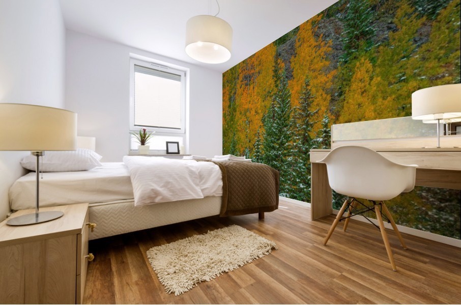 COLOR TRANSITION Mural print