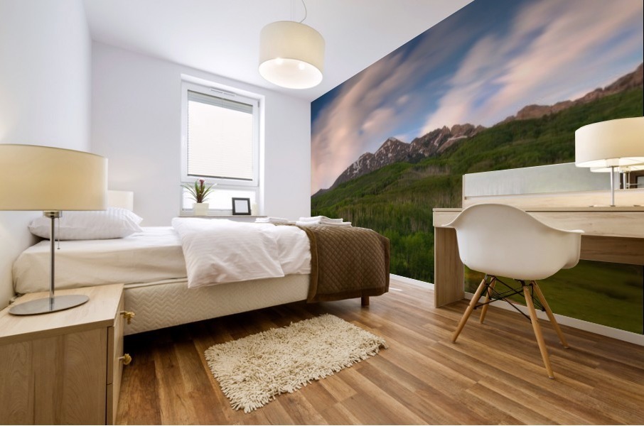 HIGH VELOCITY Mural print