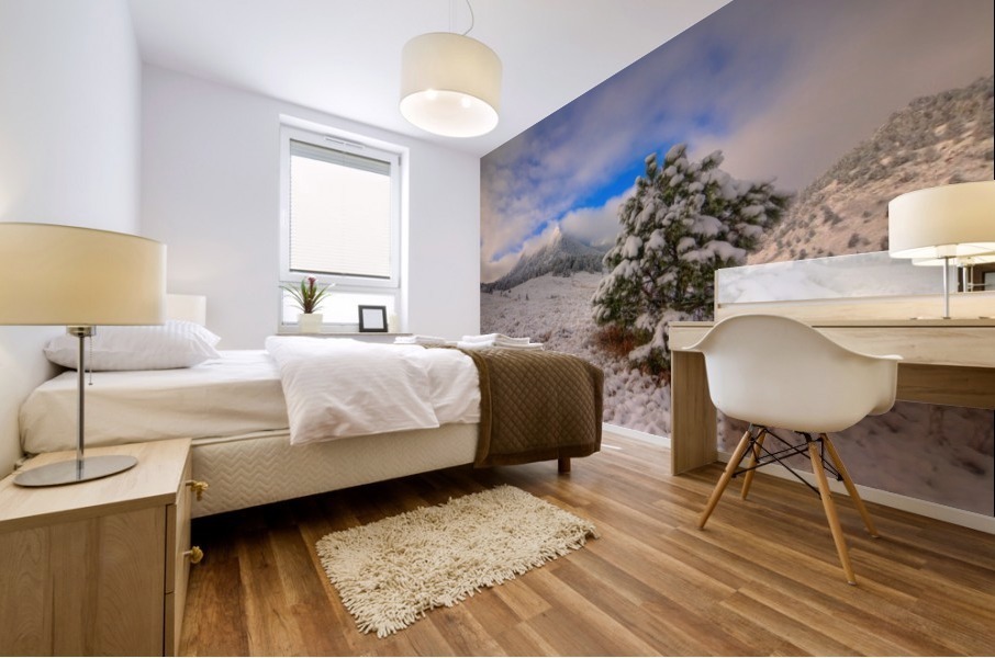 THE MAGICAL FLATIRONS Mural print