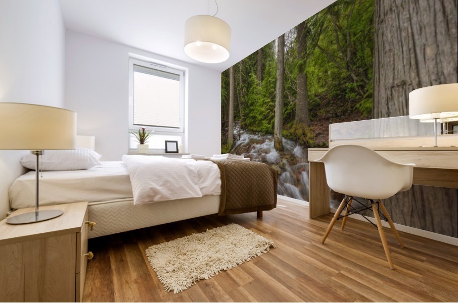 WATER PATH Mural print