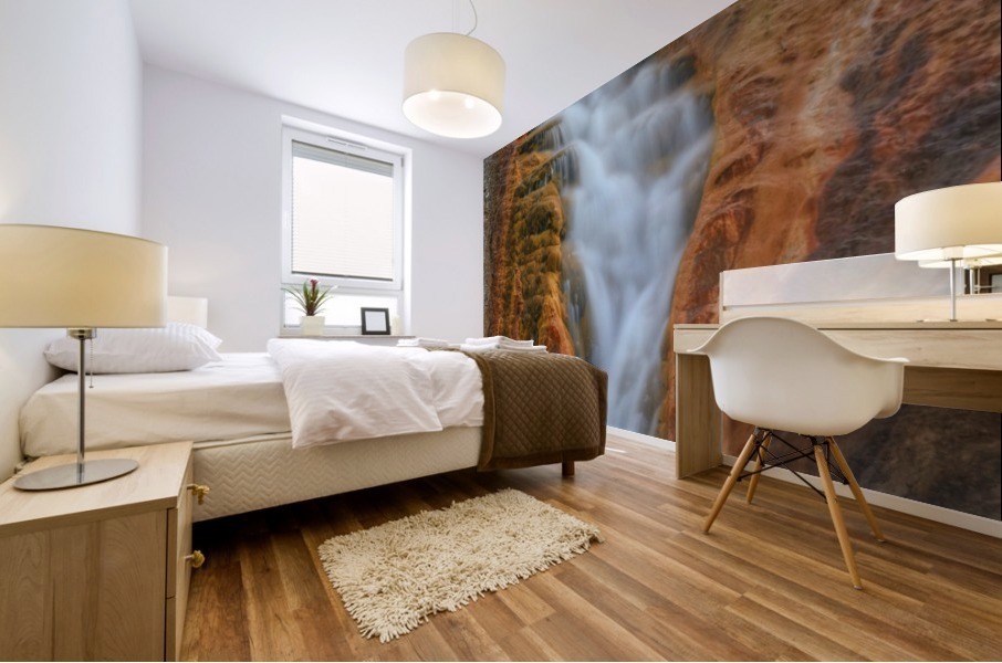 STEAMY FALLS Mural print