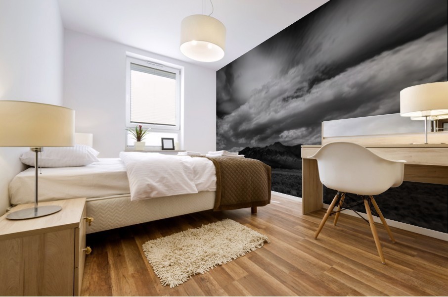 IMPENDING STORM - B&W Mural print