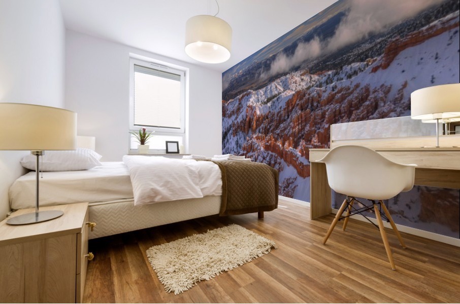 RUGGED PURITY Mural print