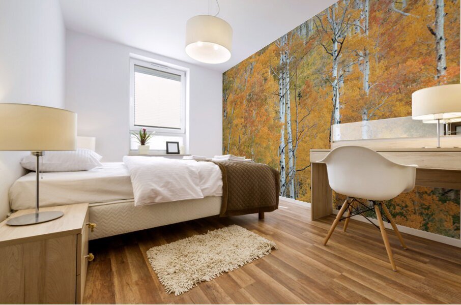 Aspen Glory Mural print