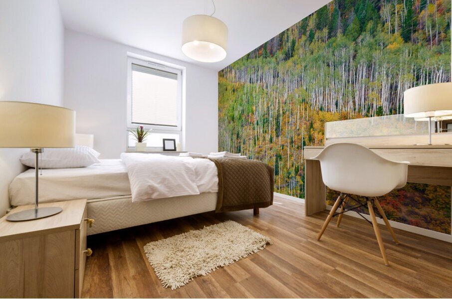 Aspen Forest Mural print