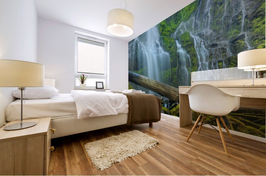 Proxy Falls Mural print