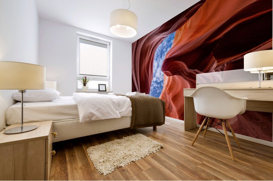 The Color Within Mural print