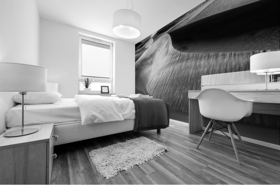 WIND SCULPTING Mural print