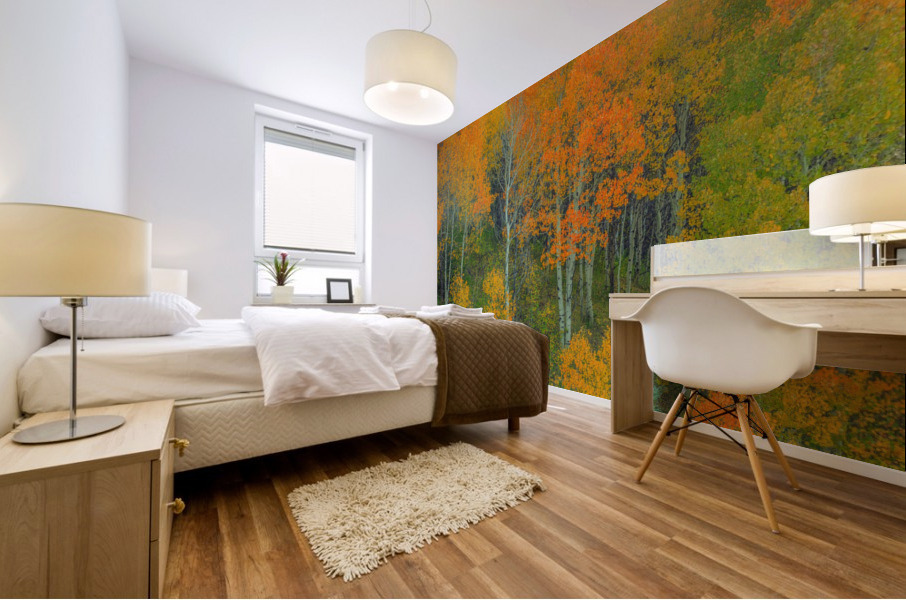 ABOUNDING COLOR  Mural print