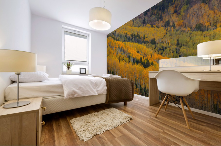 AUTUMN ROWS  Mural print