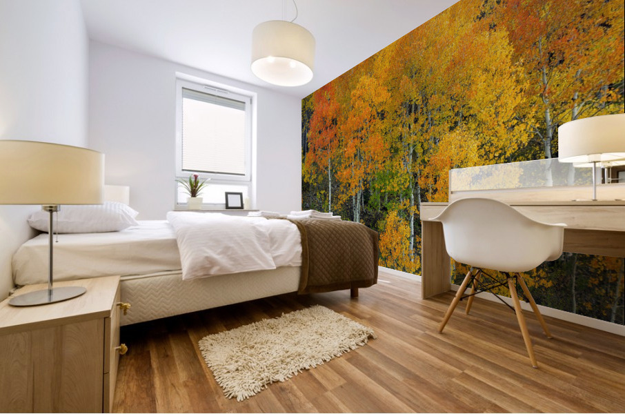 AUTUMN SERENITY  Mural print