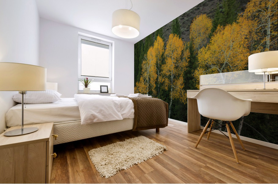 LIGHT IN THE DARKNESS  Mural print