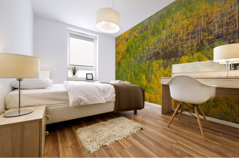 TRANSITION  Mural print