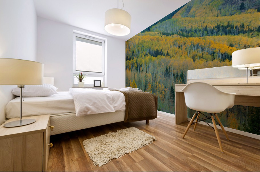 ASPEN ESCALATORS Mural print