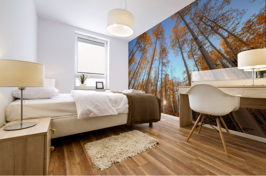 AUTUMN STARSHINE Mural print
