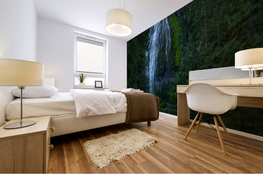 FOCUS ON PROXY FALLS Mural print