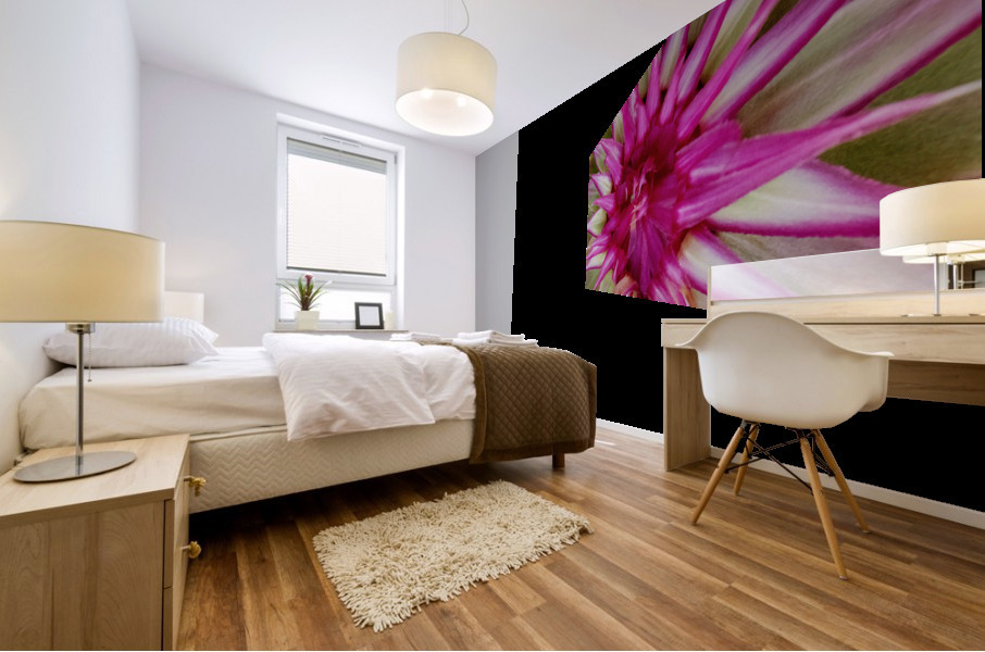 STARBURST Mural print