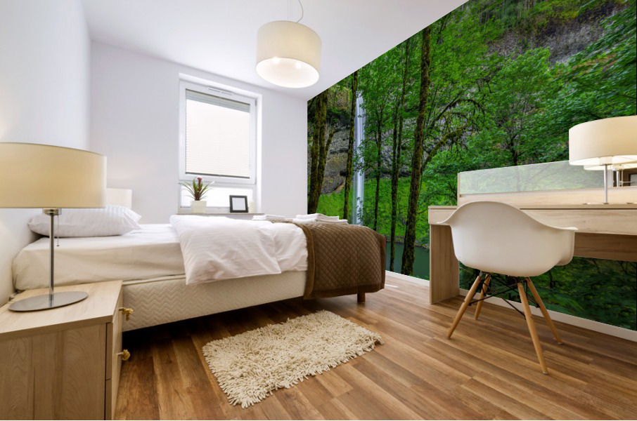 SILVER FALLS OREGON  2 Mural print