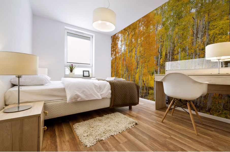 ASPEN GRACE Mural print